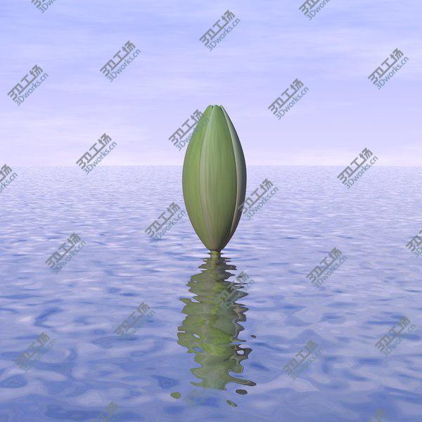 images/goods_img/20210312/3D model Lotus Animated/3.jpg